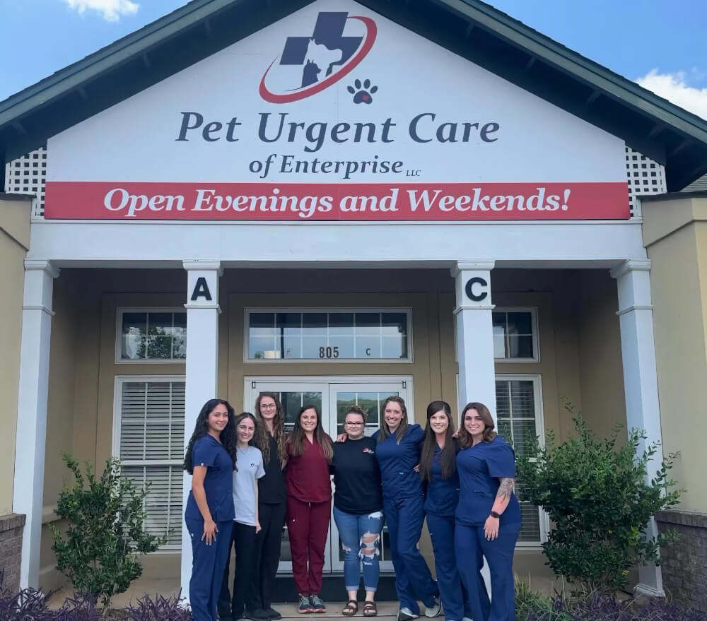 Pet Urgent Care in Enterprise