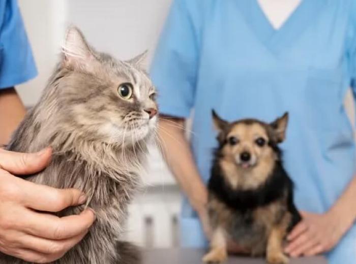 Popular Annual Things to Do If You’re New to Enterprise, AL