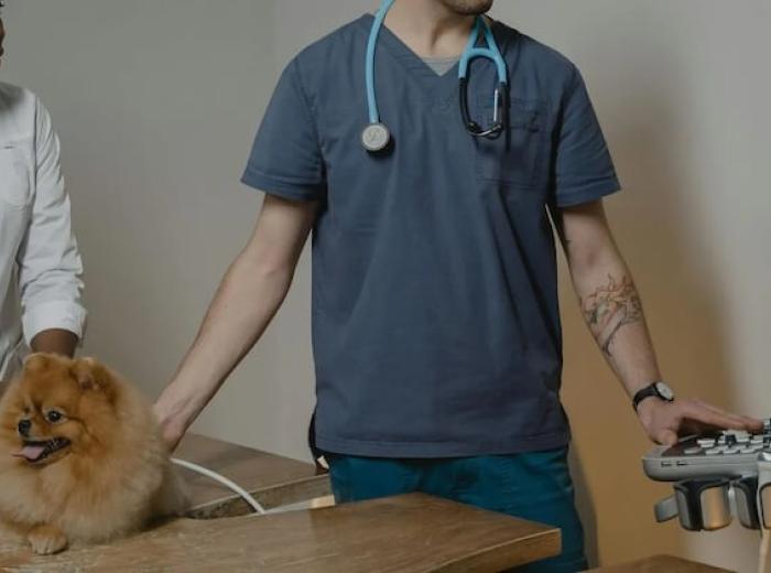 How Walk-In Vet Care Can Save You Time and Stress