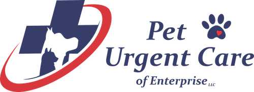 Pet Urgent Care LLC